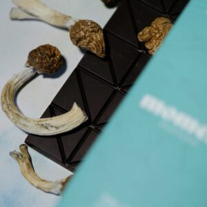 Coffee & Cacao Ceremonial Dark Chocolate Bar