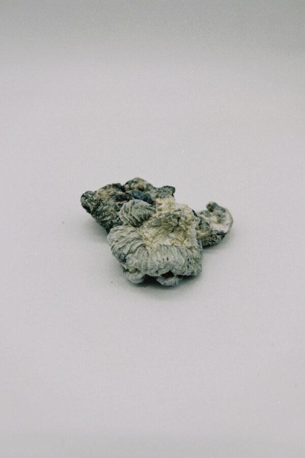 Nebula - Bronze - Image 3