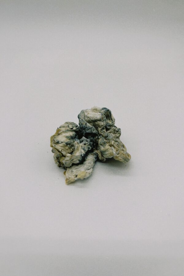 Nebula - Bronze - Image 2