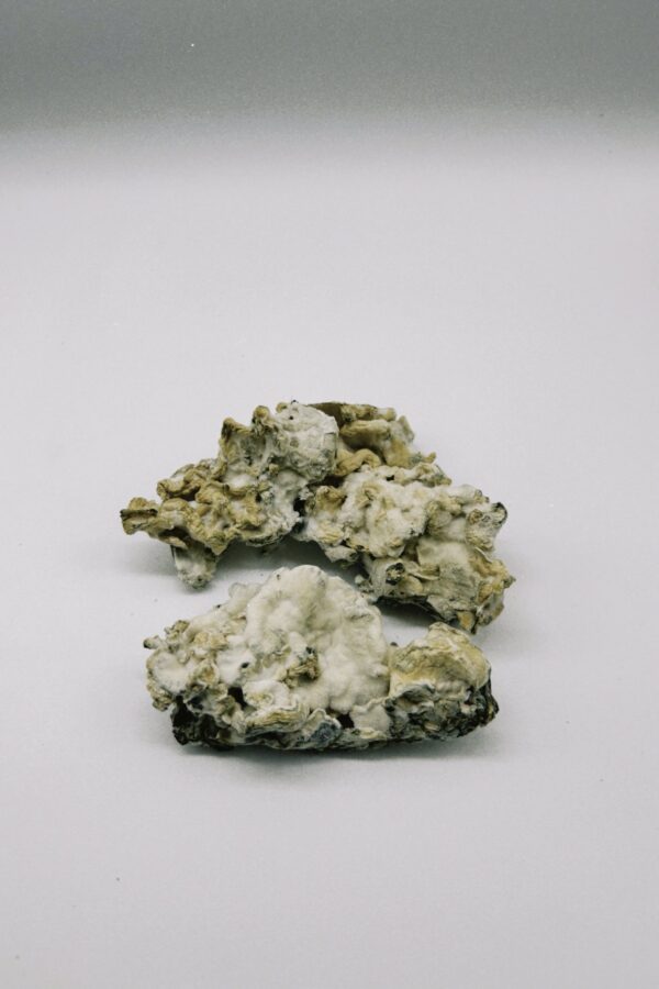Nimbus Clouds - Enigma - Image 2