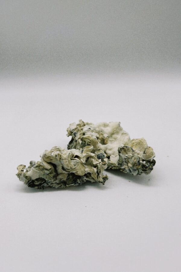 Nimbus Clouds - Enigma - Image 3