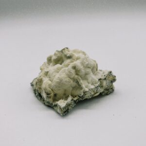 Nimbus Cloud Enigma Magic Mushrooms