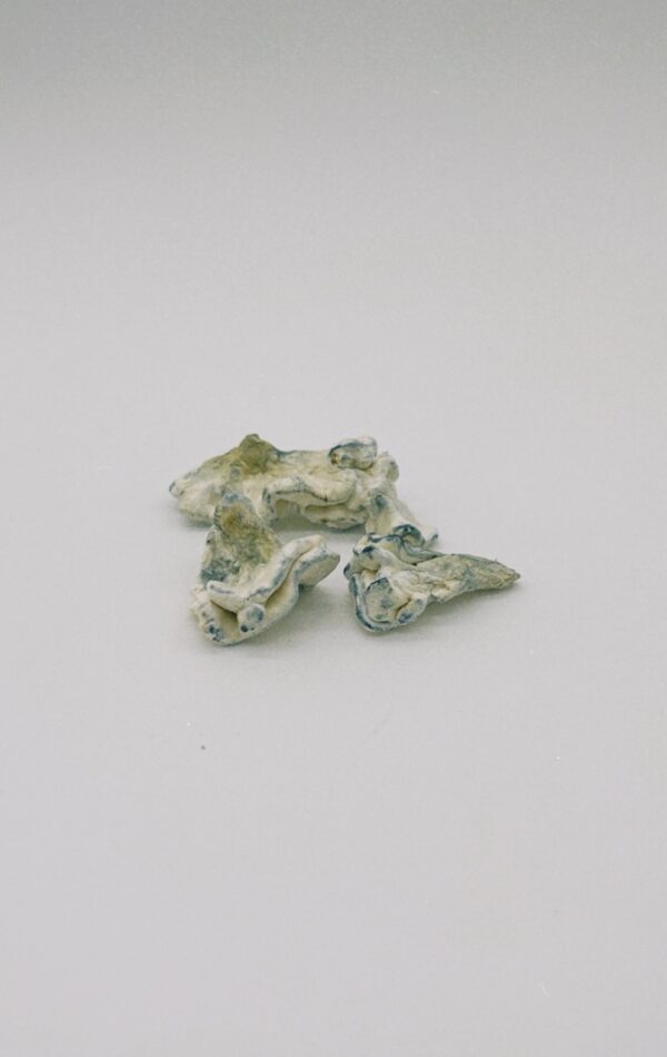 Tattoo - Enigma (Freeze Dried) - Image 3
