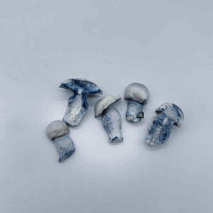 Andromeda (Freeze Dried)