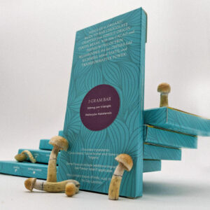 3g Psilocybe Natalensis Bars