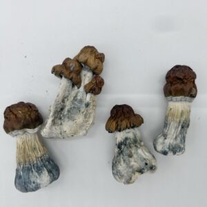Blue Pulaski