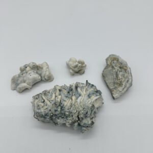 Nimbus Clouds - Enigma (Freeze Dried)