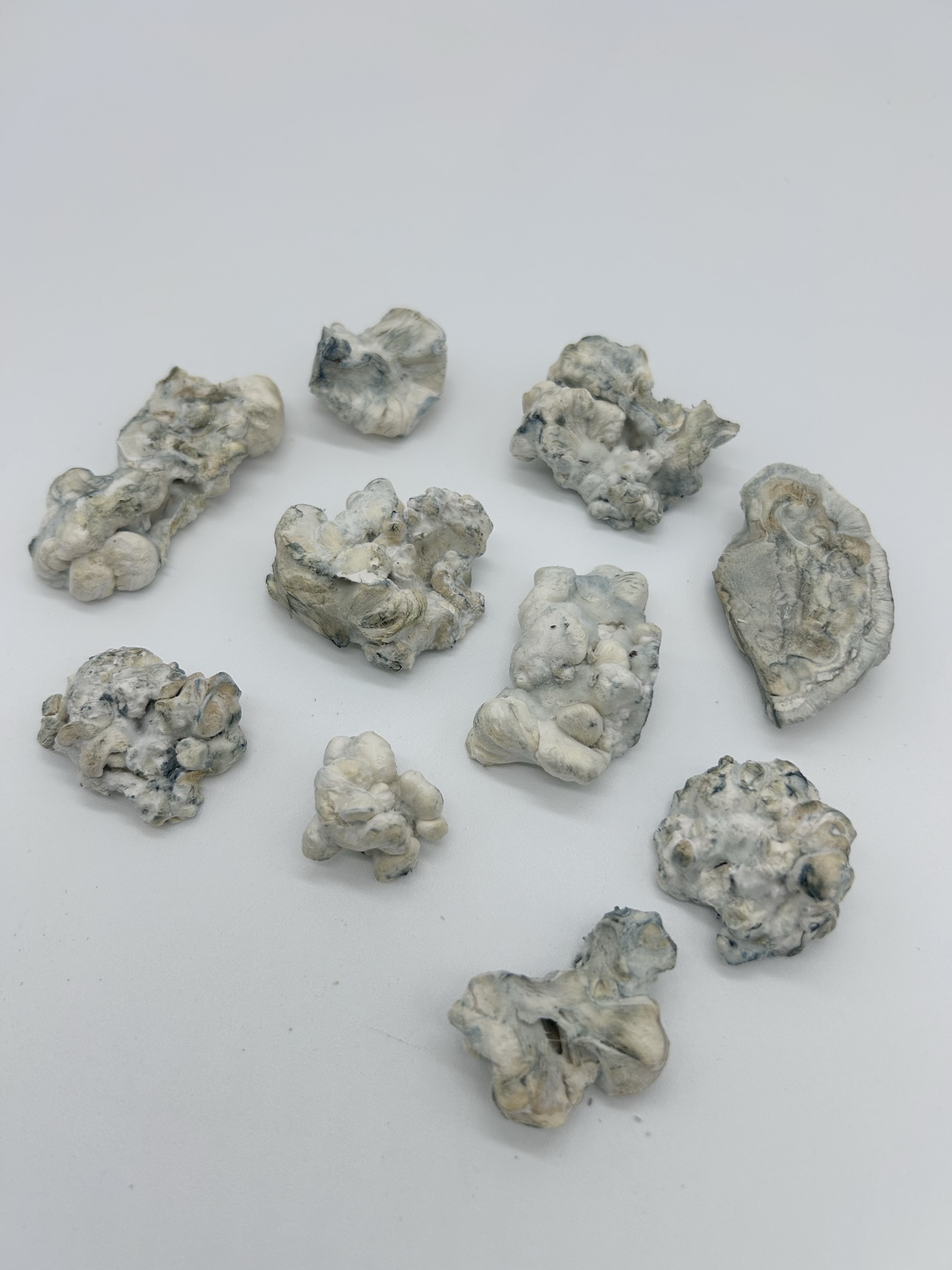 Nimbus Clouds - Enigma (Freeze Dried) - Image 2