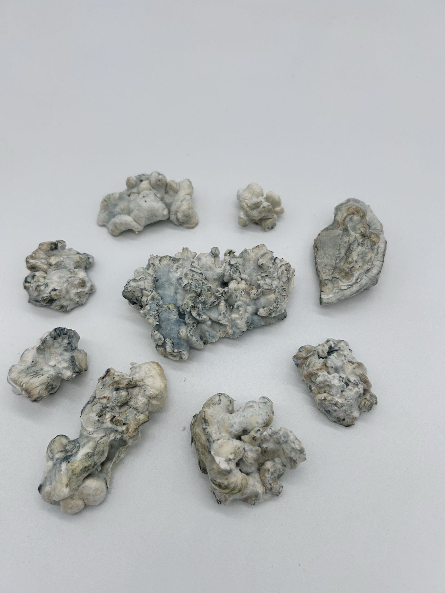 Nimbus Clouds - Enigma (Freeze Dried) - Image 3