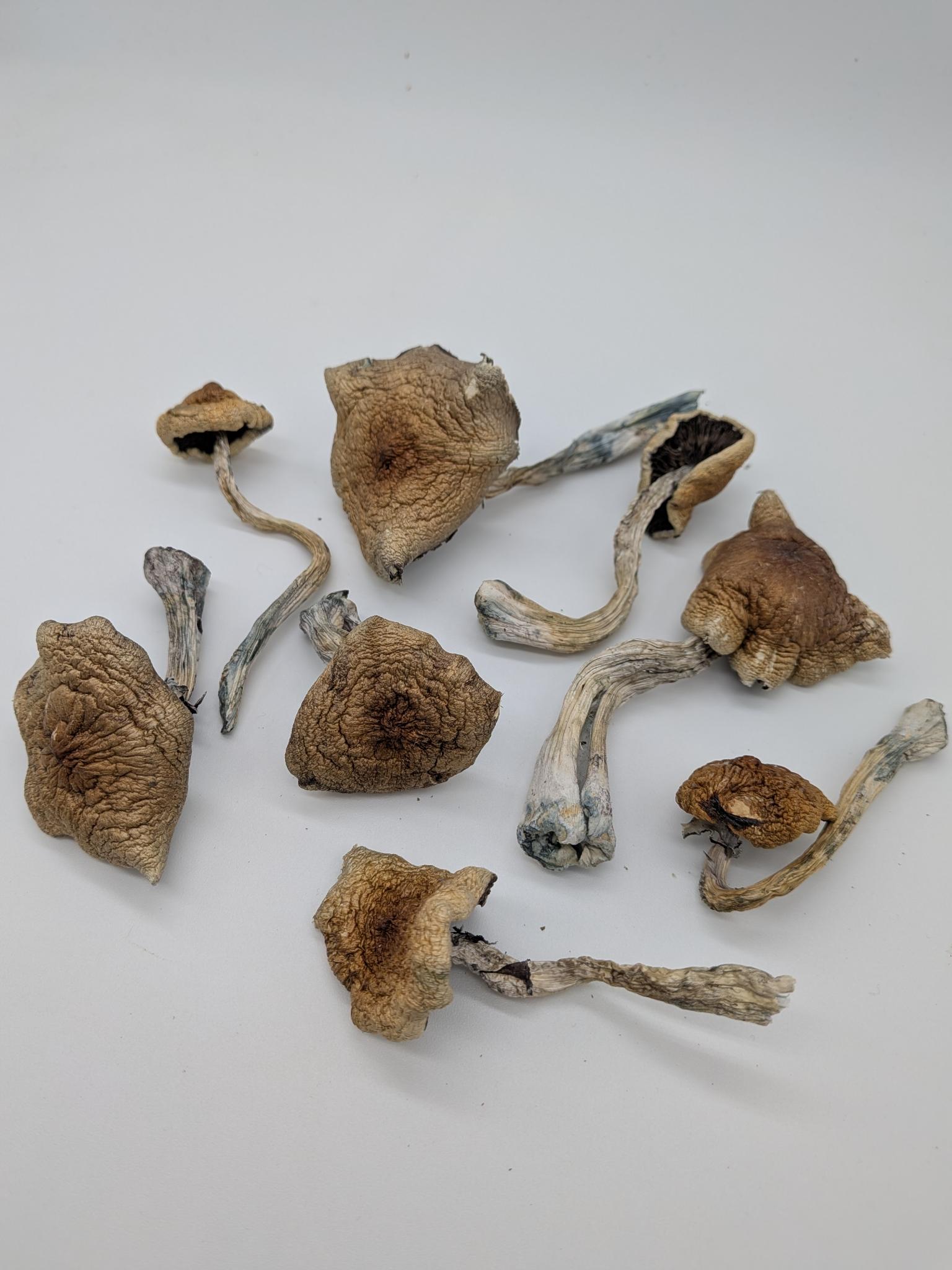 Mazatapec - Image 2