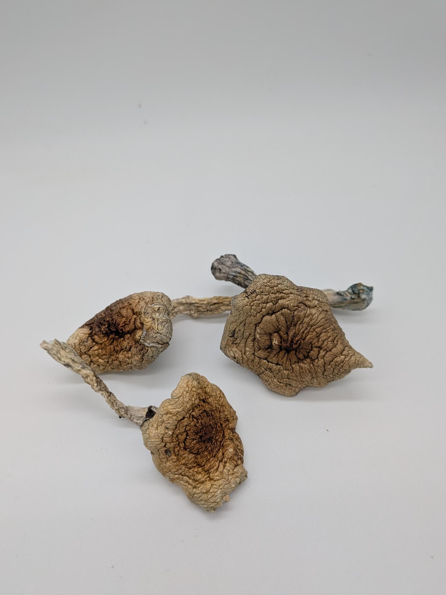 Mazatapec - Image 3