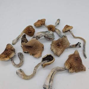 Mazatapec