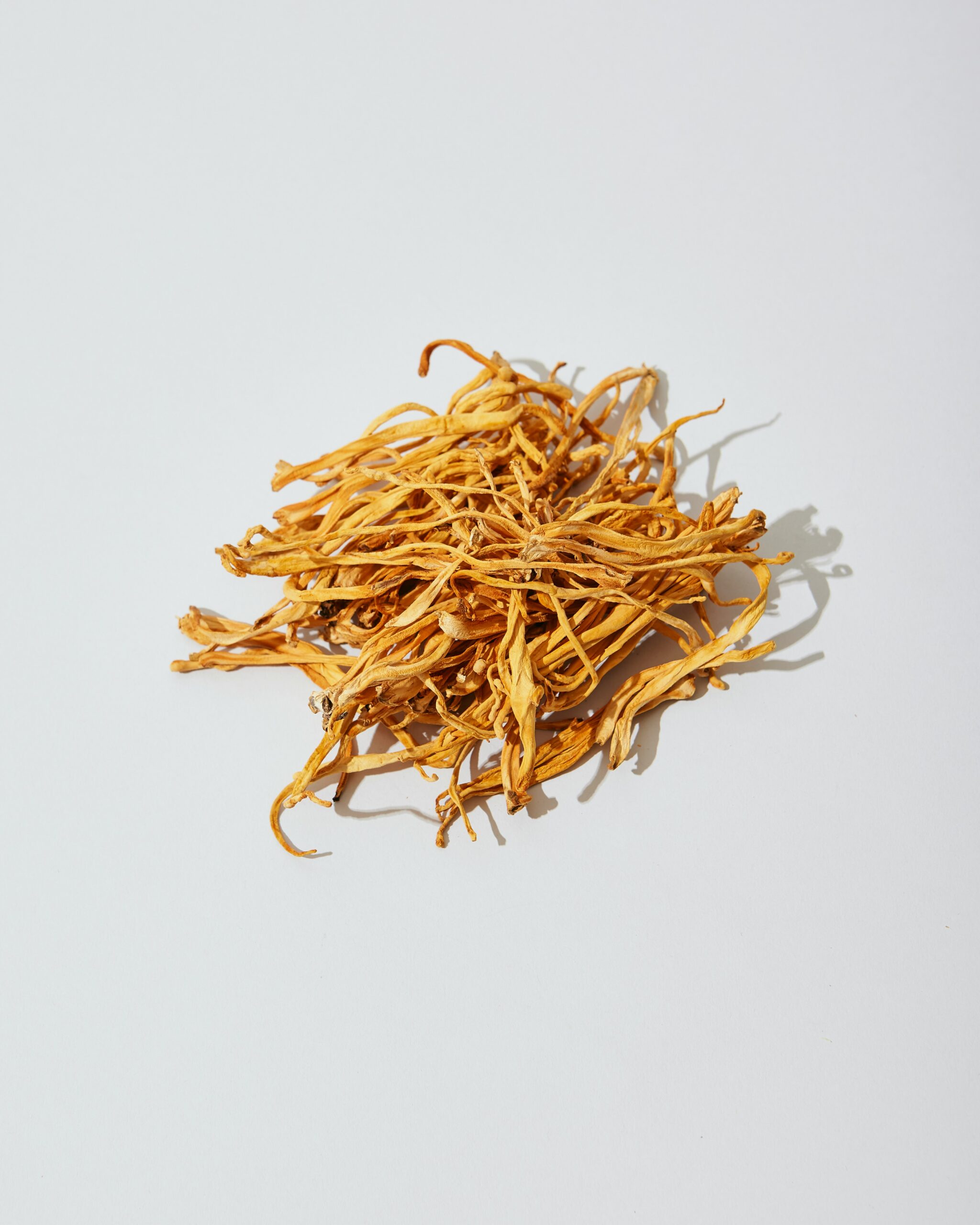 Cordyceps Mushroom - Image 3