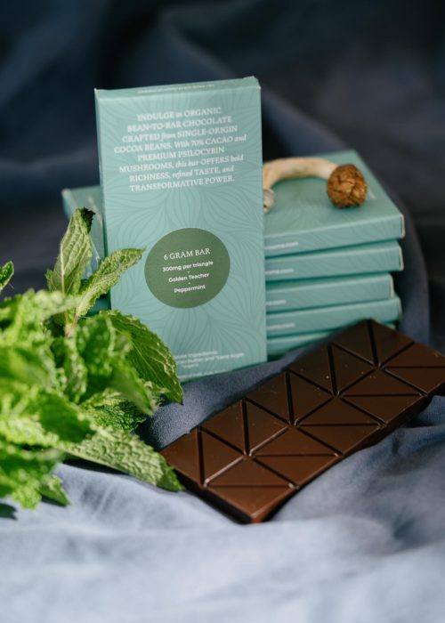 20250321_Moment_0006