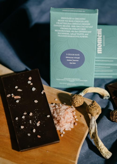 20250321_Moment_0037