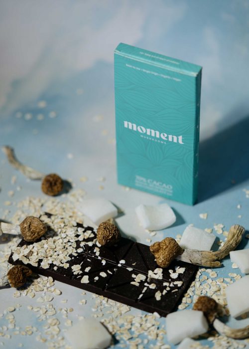 Magic Mushroom Chocolate - Moment Mushrooms 20