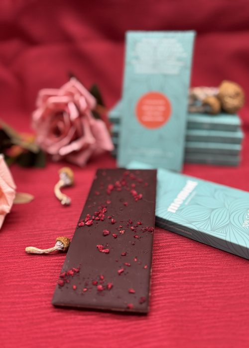 Moment Mushrooms - Magic Mushrooms Canada35