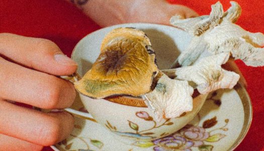how-to-microdose-magic-mushrooms-cup